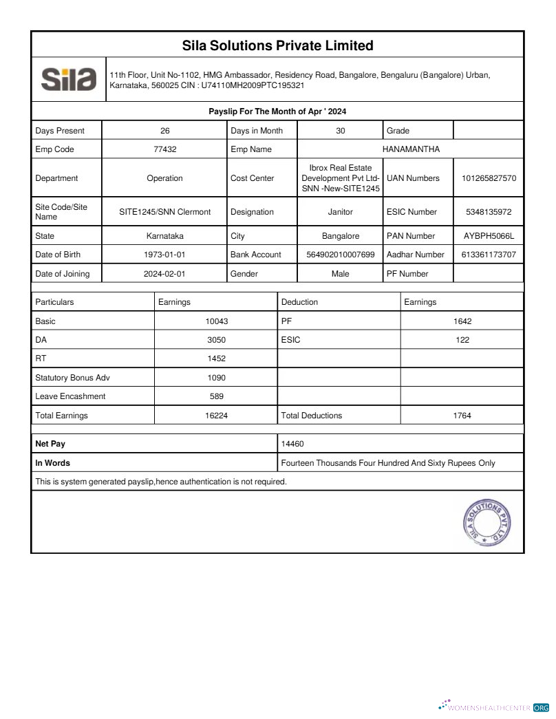 Download Sila Solutions payslip template in Word and PDF formats.pdf, 1 Photoshop template